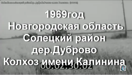 1969г. Новг.область.Солецкий район.дер.Дуброво.Колхоз имени Калинина