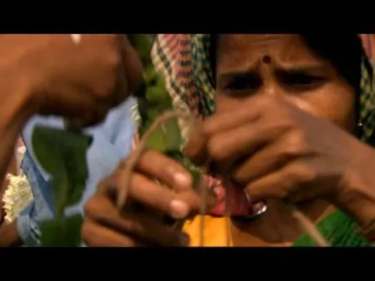 BBC The Story of India - 1 of 6 - Beginnings