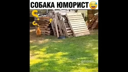 Склейка 100500