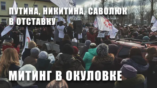 Путина, Никитина, Саволюк в отставку. Митинг в Окуловке