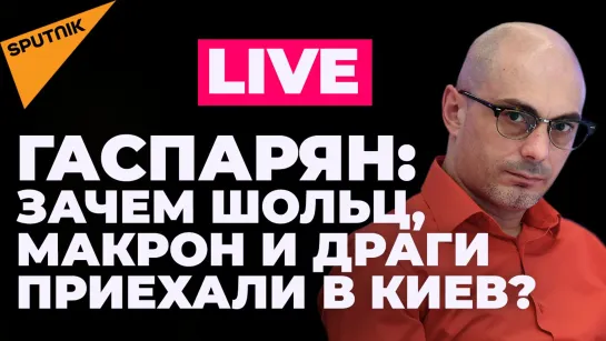 Гаспарян: признание Арахамии о потерях ВСУ и визит в Киев Шольца, Макрона и Драги