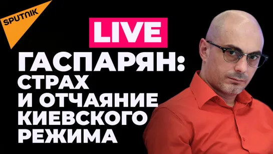 Гаспарян: на что готов пойти Киев ради своего спасения и почему это все равно не поможет?