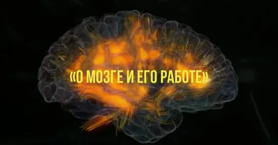 🧠 О мозге и его работе. Мозг и стресс. Мозг и сознание (Татьяна Черниговская)