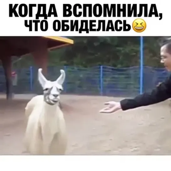 Когда обиделась