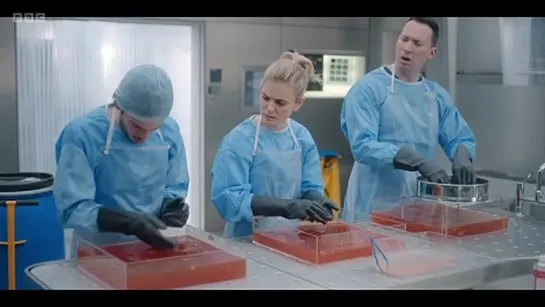 Silent Witness: S26, Ep2 « The Penitent, Part 2 » (BBC One 2023 UK) (ENG/No Subtitles)