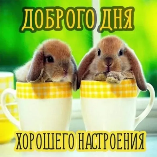 ДОБРОГО ДНЯ И ХОРОШЕГО НАСТРОЕНИЯ!