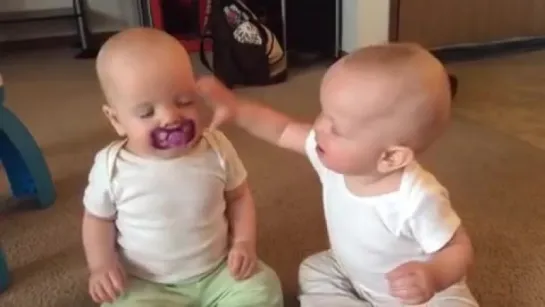 Twin baby girls fight over pacifier