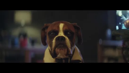 John Lewis Christmas Advert 2016 - #BusterTheBoxer