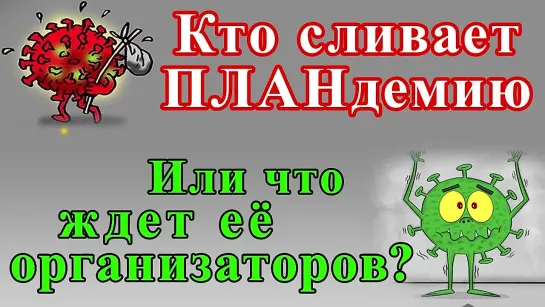 Кто сливает ПЛАНдемию или что ждет её организаторов?