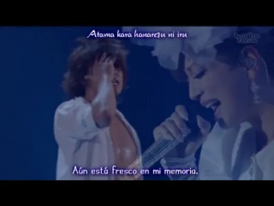 Ayumi Hamasaki - HOPE or PAIN ~Live Arena Tour 2009~ HD