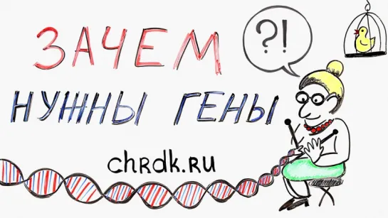 Зачем нужны гены?