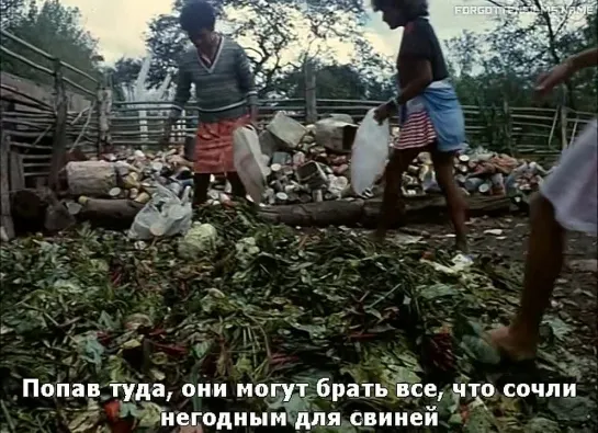 Остров цветов / Ilha das Flores (1989)