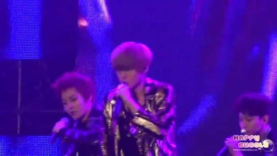 [FANCAM] 121209 Chongqing Irreplaceable Concert - MAMA Luhan ver.