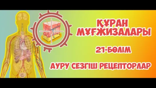 Құран мұғжизалары | 21-БӨЛІМ: Ауру сезгіш рецепторлары ᴴᴰᴰ