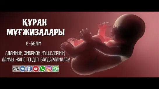 Құран мұғжизалары 8: Адамның эмбрион мүшелерінің дамуы және гендегі бағдарламалау ᴴᴰᴰ