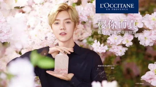 「FANCAM」170807 Luhan @ L'Occitane Fanmeeting