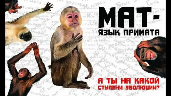 Цифровой мат