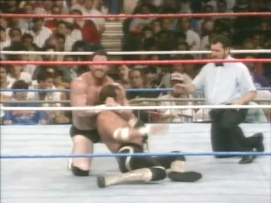 [Wrestling Museum]Jake Roberts vs Hercules