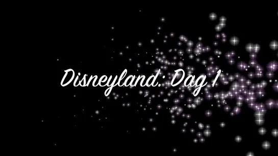 Willem Herbots • Disneyland Vlog 1