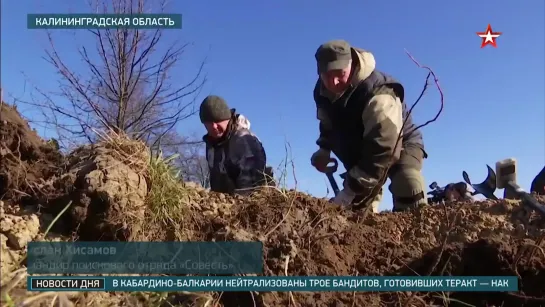 В Калининградской области поисковики нашли фрагменты Ил-2