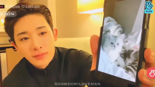 [VK][190609] Wonho and his kittens @ VLIVE