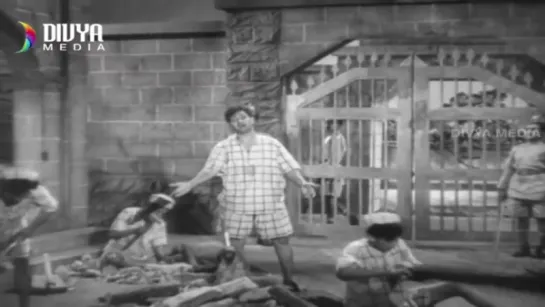 "Manchi Manasuku Manchi Rojulu" 1958 Telugu Movie  Video Songs Jukebox  NTR  Rajasulochana  Girija