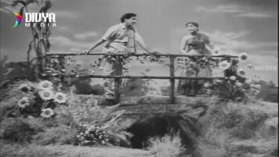 "Rojulu Marayi" 1955 Telugu Movie  Video Songs Jukebox  ANR  Waheeda Rehman  Sowcar Janaki  Old Movies