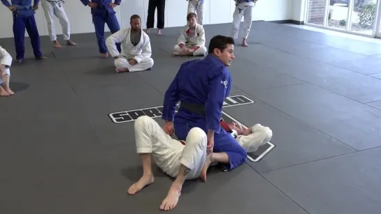 Caio Terra - 3 HIP SWITCH TO KNEE CUT MOUNT PASS