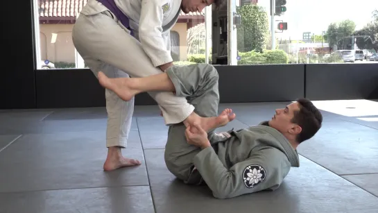 Caio Terra - PANT GRIP DLR TRANSITION TO X GUARDS (HOLDING SLEEVE)