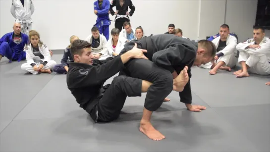 Caio Terra -  5 Half Guard Collar Sleeve Sweep to the Back