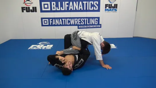 Leg Locks by Tarik Hopstock  Vol 2 #bjf_seminar