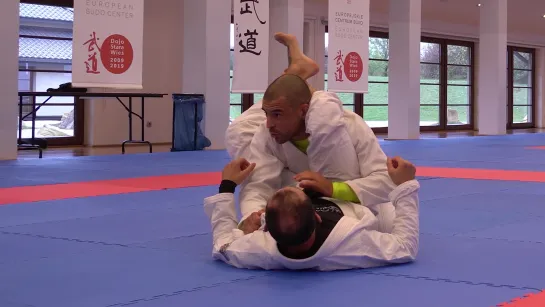 Wim Deputter - The Kings Gambit  Triangle Choke؟ Pass the Guard! (triangle defense and pass) #bjf_seminar