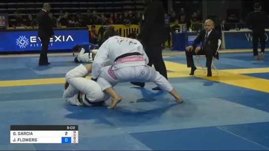 GABRIELLE GARCIA vs JESSICA FLOWERS #ibjjfpan19