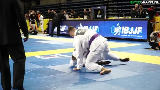 #бжж_настроение 2019 IBJJF Pans Day 1