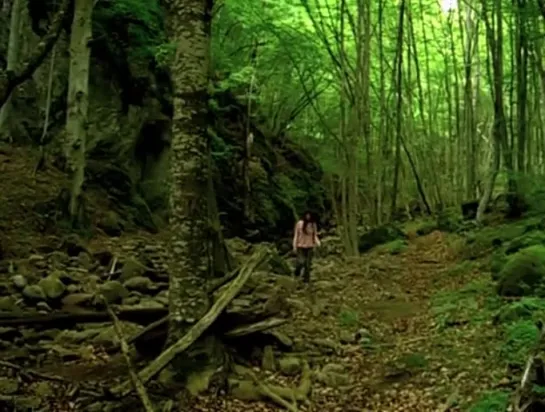 В лесу / Mesa sto dasos / In the woods (2010)