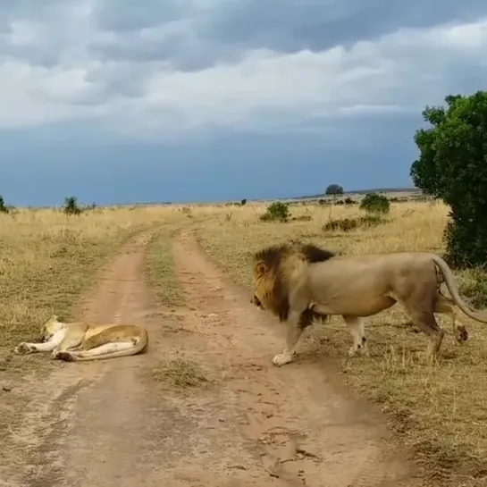 Видео от Невероятная планета