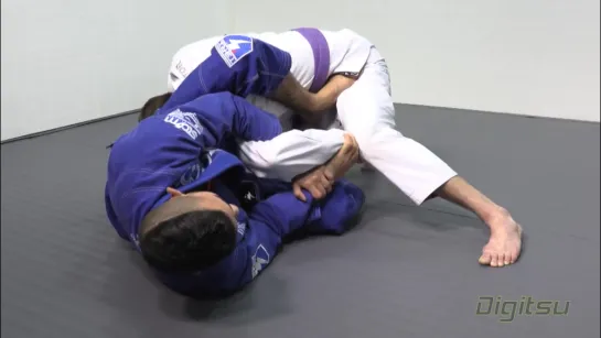 Edwin Najmi Triangle Series -- Knee Shield Triangle 2