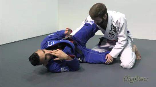 Edwin Najmi Triangle Series -- Knee Shield Triangle