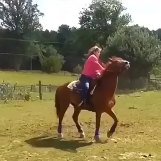 Видео от Увидел сам - покажи другому !