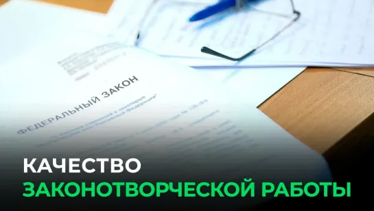 Качество законотворческой работы