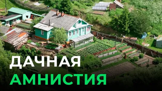 Дачная амнистия