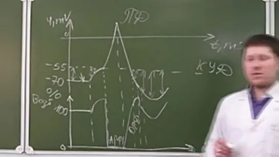 Видеоконсультант. Сопоставление ПП и ПД.