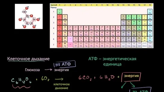 Клеточное дыхание