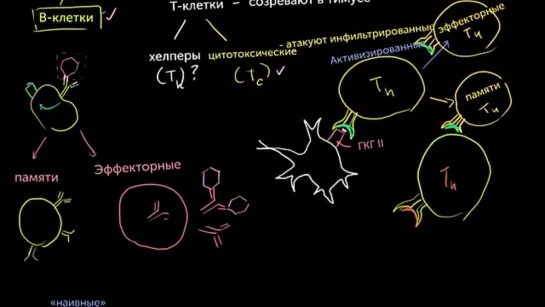 Т-хелперы