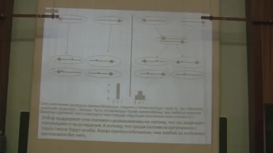 Марков Александр - Теория эволюции Лекция 7 (часть 1-2)