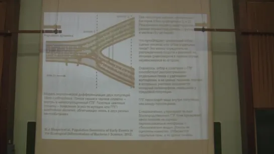 Теория эволюции. Марков А.В. Лекция 6. Часть 2