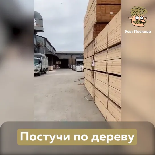 Постучи по дереву