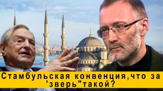 Стамбульская конвенция,что за 'зверь"такой?