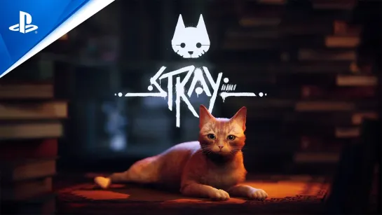 Stray — релиз 19 июля