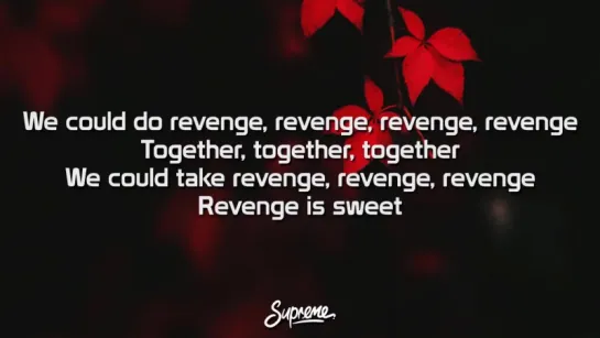 Pink ft. Eminem - Revenge (+Текст Песни)(em50.ru)